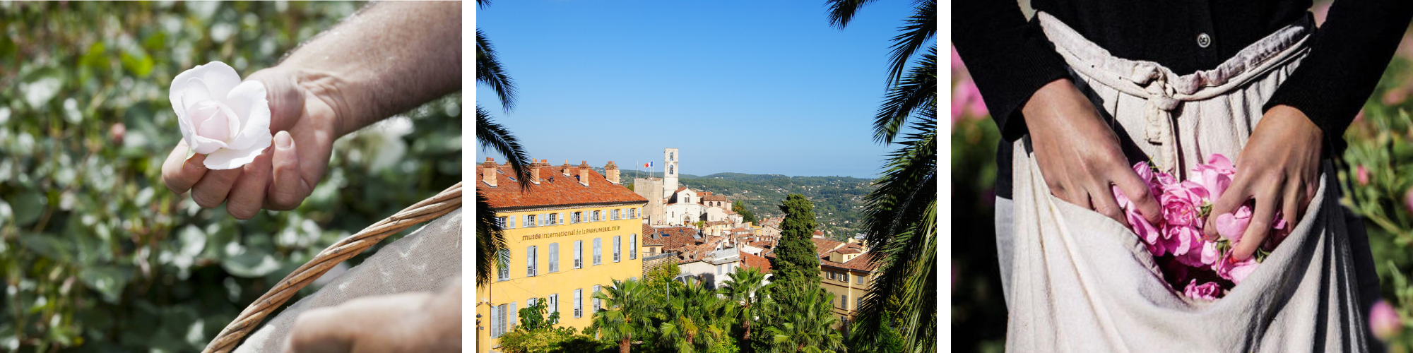 Sans titre (Canvas Banner (1000 x 250 px))(1) photos<br />